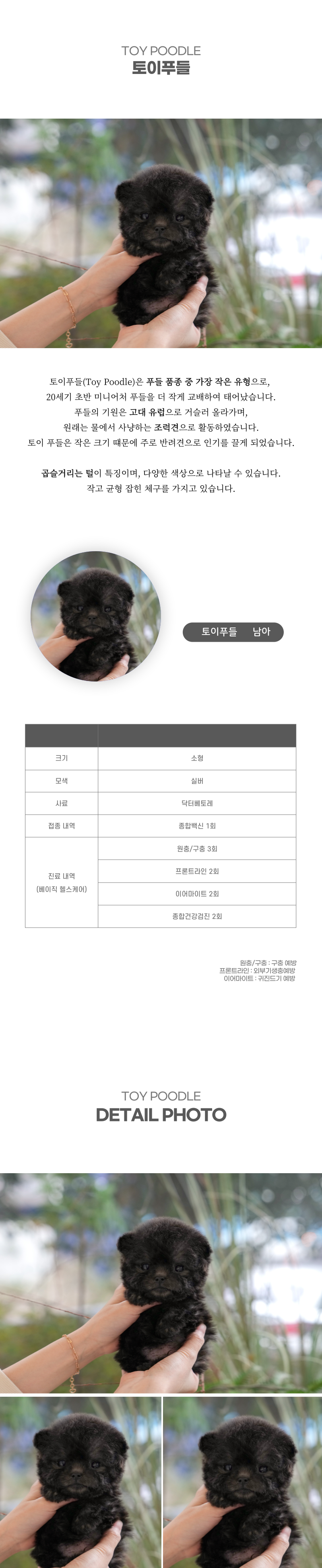 토이푸들_상세이미지_2